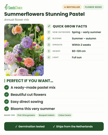 Sommerblomsterfrø smuk pastelblanding – hurtige dyrkningsfakta: såes direkte forår til tidlig sommer, blomstrer sommer til efterår, højde 80-120 cm, fuld sol — en færdig pastelblanding til snittede blomster